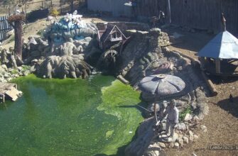 Экопарк Лукоморье